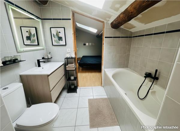 Buzet-sur-tarn - 9 pièce(s) - 196 m²
