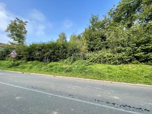 Vente TerrainFONTAINE L ETALON (62390)