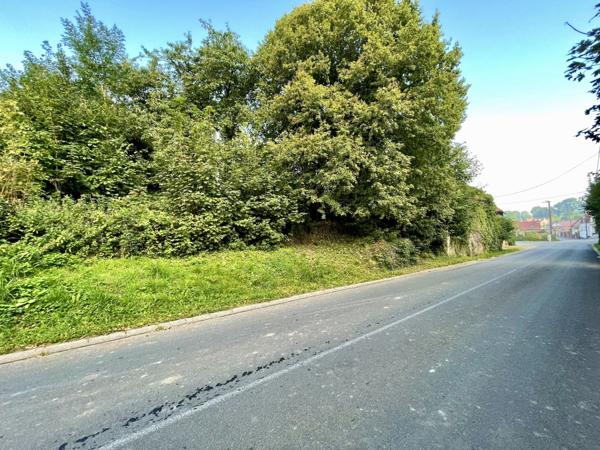 Vente TerrainFONTAINE L ETALON (62390)