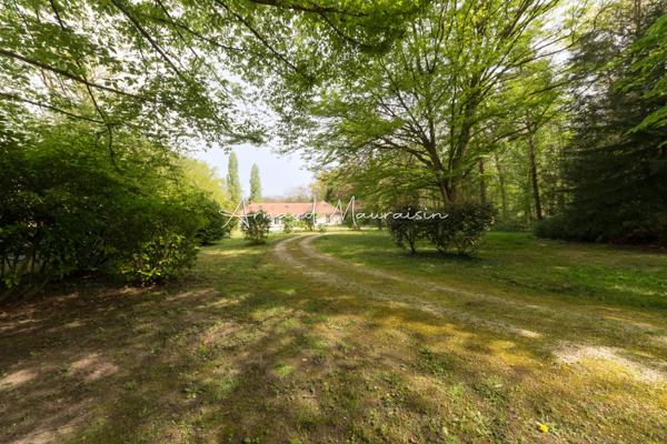 Lumineuse, spacieuse et fonctionnelle !