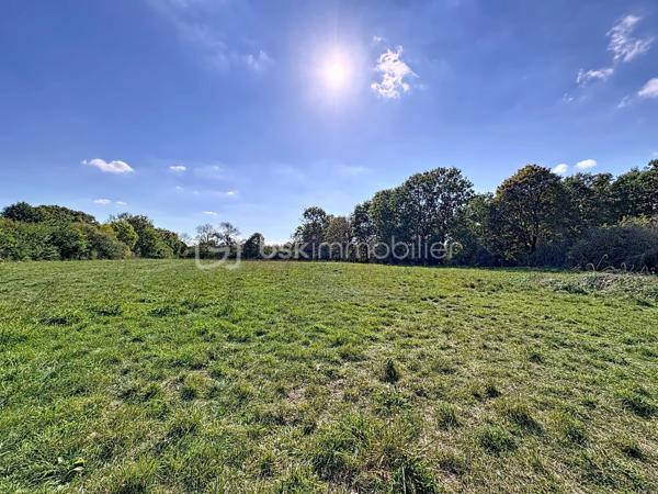 Terrain de 7 991 m²