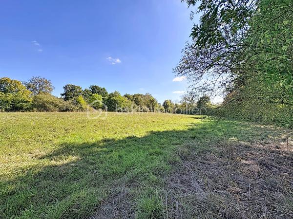 Terrain de 7 991 m²