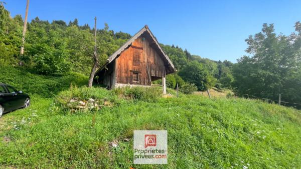 Maison Allevard 7 pièces 163m2  et terrain 15600m2