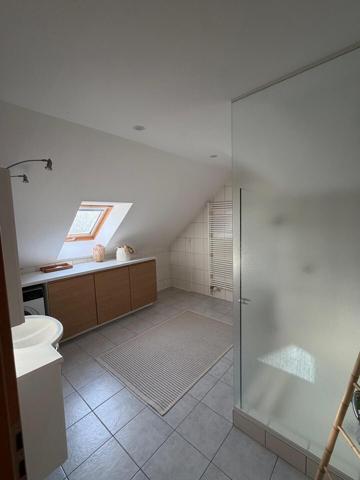 Dannemarie, duplex de 147 m² de type F5 240 000 €