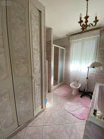 Maison à vendre à Villedieu-sur-Indre dans l'Indre (36320), ref : 1048793