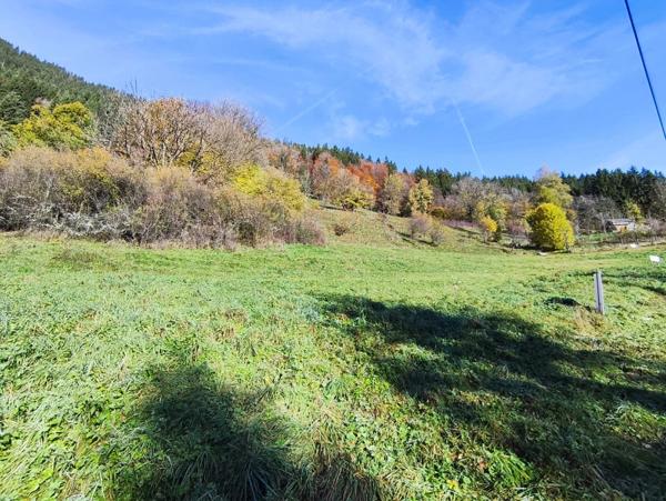Terrain à vendre - 738m² - SAINT JEAN D'AULPS (74)