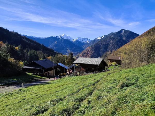 Terrain à vendre - 738m² - SAINT JEAN D'AULPS (74)
