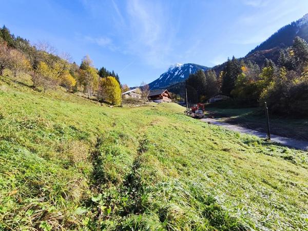 Terrain à vendre - 738m² - SAINT JEAN D'AULPS (74)