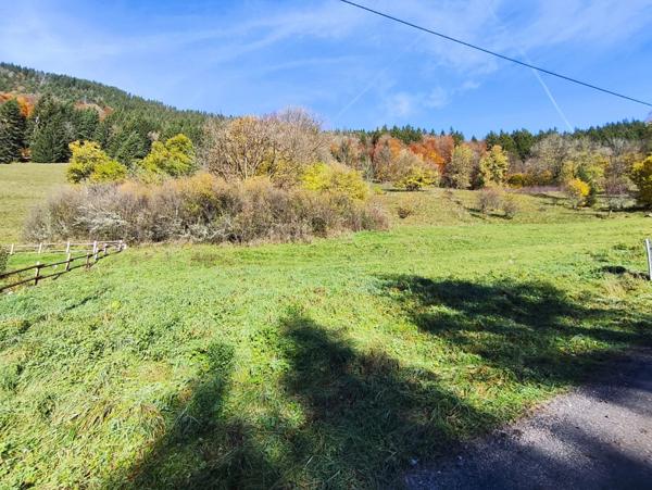 Terrain à vendre - 738m² - SAINT JEAN D'AULPS (74)