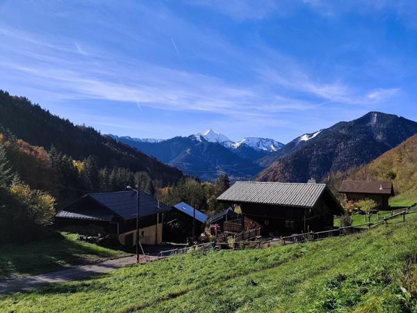 Terrain à vendre - 738m² - SAINT JEAN D'AULPS (74)