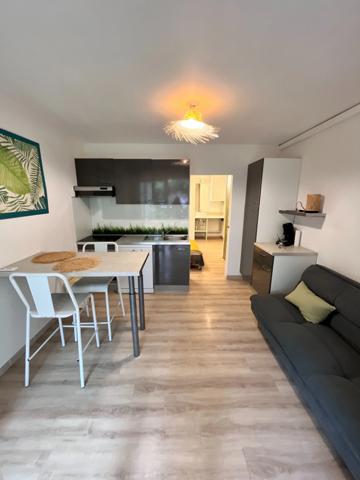 Appartement à vendre 2 pièces en rez de jardin SAINT GILLES LES BAINS (974)