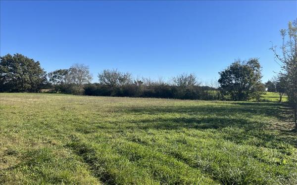 Terrain à vendre 185 300 € Saint-Vincent 1621 m² DPE