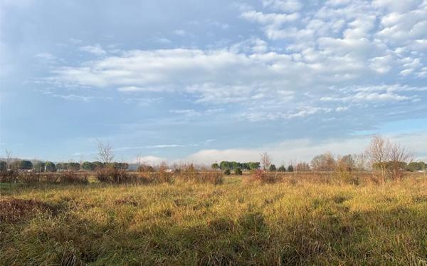 Terrain à vendre |  Saint-Sulpice-la-Pointe |  1187 m²