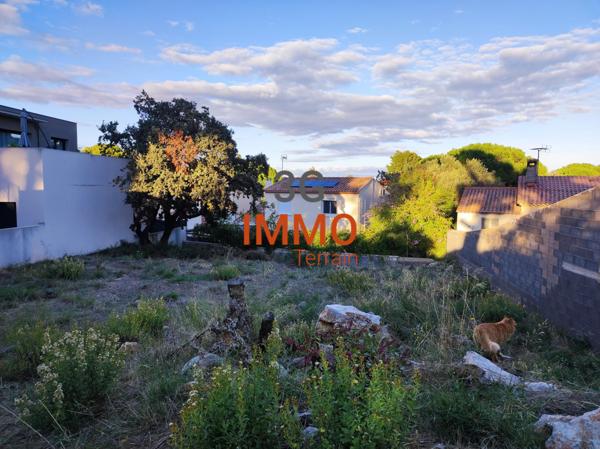 Vente / Terrain constructible