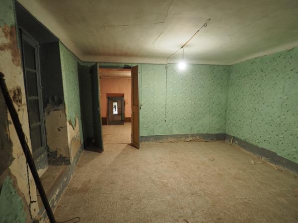 L'Isle-sur-la-Sorgue (84800) Maison de maitre à rénover sur 7000m² de parc