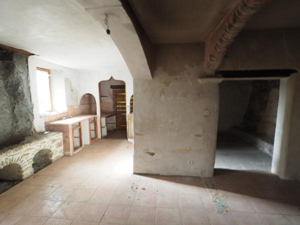 L'Isle-sur-la-Sorgue (84800) Maison de maitre à rénover sur 7000m² de parc