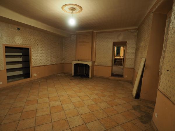 L'Isle-sur-la-Sorgue (84800) Maison de maitre à rénover sur 7000m² de parc