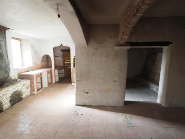 L'Isle-sur-la-Sorgue (84800) Maison de maitre à rénover sur 7000m² de parc