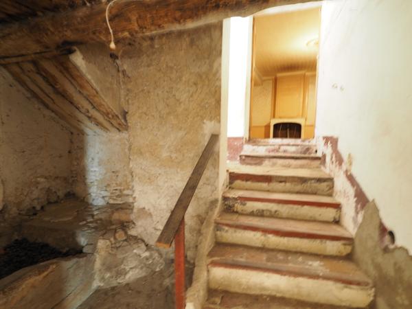 L'Isle-sur-la-Sorgue (84800) Maison de maitre à rénover sur 7000m² de parc