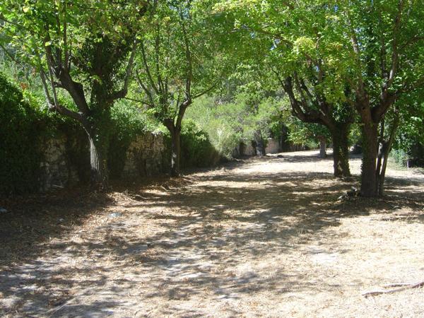 L'Isle-sur-la-Sorgue (84800) Maison de maitre à rénover sur 7000m² de parc