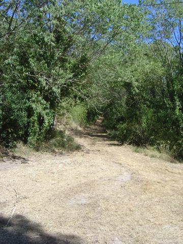 L'Isle-sur-la-Sorgue (84800) Maison de maitre à rénover sur 7000m² de parc