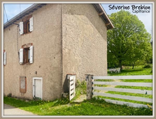 🏡 À vendre – Maison de campagne en pierre – 100 m² – Jardin 1 700 m² – Proche Noirétable (42)