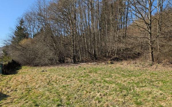 Terrain à vendre    La Bresse