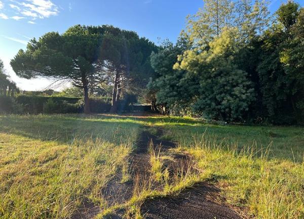 Terrain à vendre    306 m2 Dolus-d'Oléron