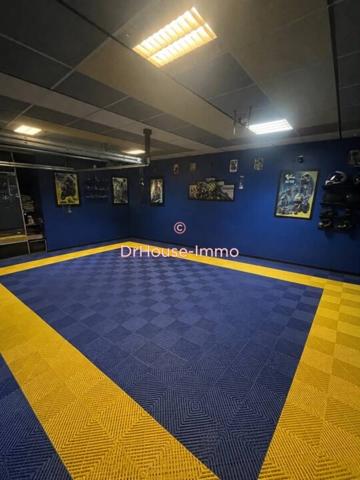 Maison à vendre 11 pièces de 315 m²