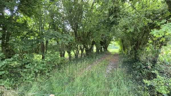 Maison 6 pièces - 180 m²