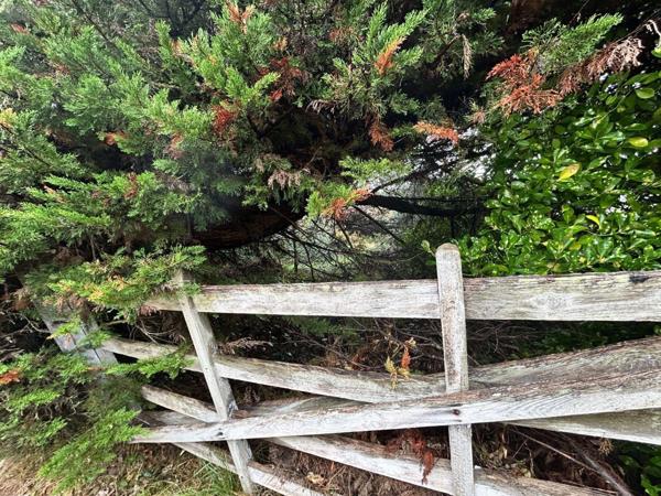 Terrain à Batir à vendre à Agon-Coutainville dans la Manche (50230), ref : 50069/12   
Passous