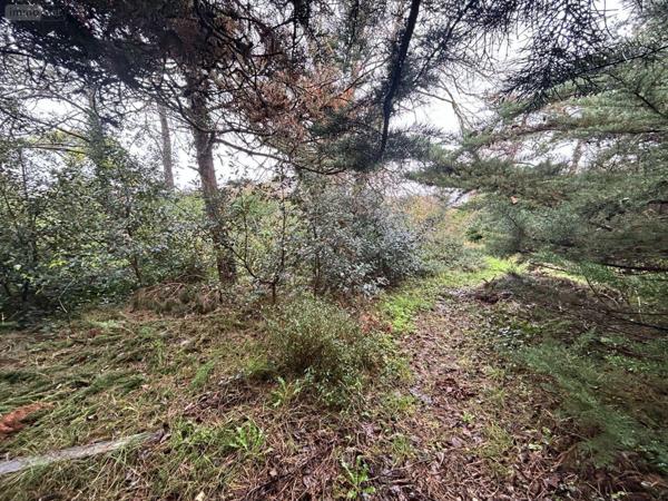 Terrain à Batir à vendre à Agon-Coutainville dans la Manche (50230), ref : 50069/12   
Passous