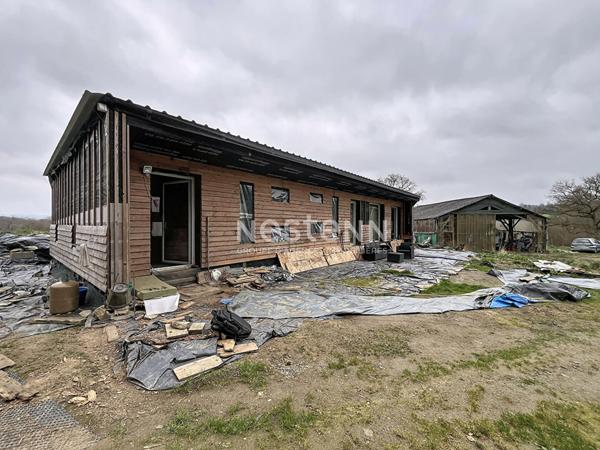 Propriété à rénover sur 2 hectares - Gourin