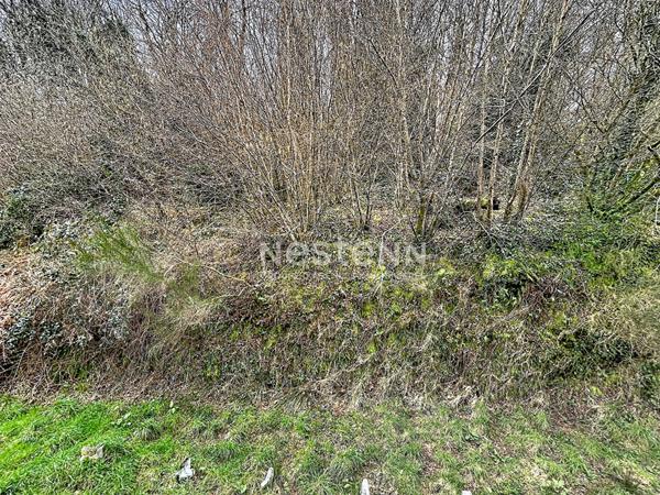 Propriété à rénover sur 2 hectares - Gourin