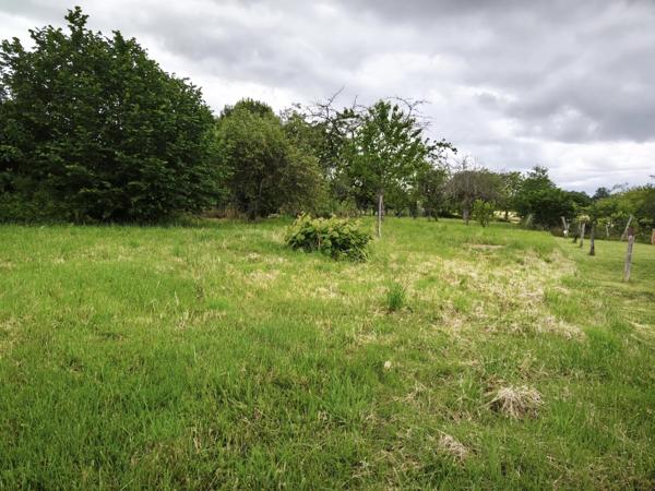 TERRAIN VIABILISE - GENCAY