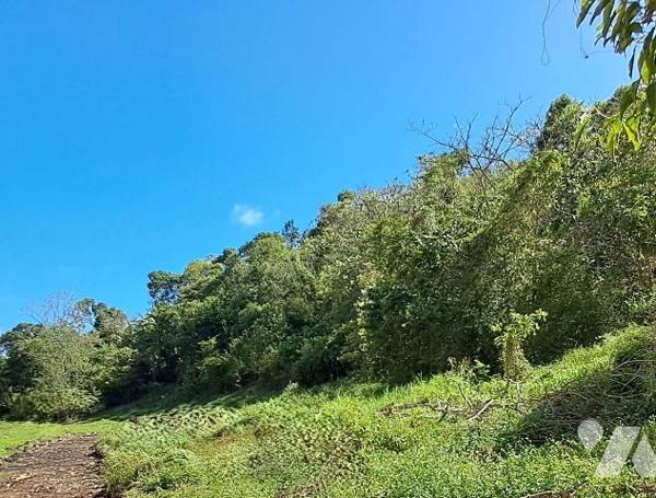 Terrain à Vendre au Gosier (97190) en Guadeloupe (971)

Ce terrain à bâtir est idéalement sit...