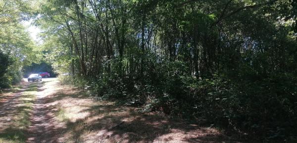 Terrain de 1810 m² à Piégut-Pluviers
