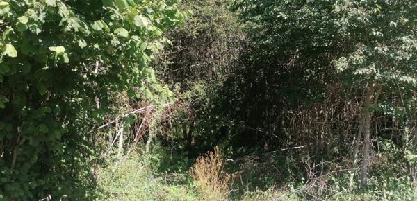 Terrain de 1810 m² à Piégut-Pluviers