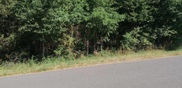 Terrain de 1810 m² à Piégut-Pluviers