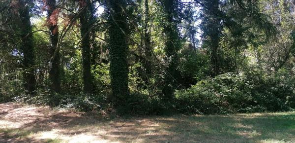 Terrain de 1810 m² à Piégut-Pluviers