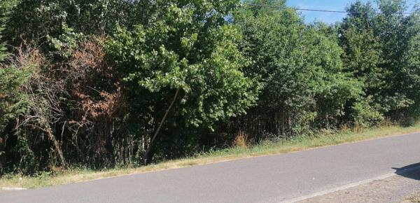Terrain de 1810 m² à Piégut-Pluviers