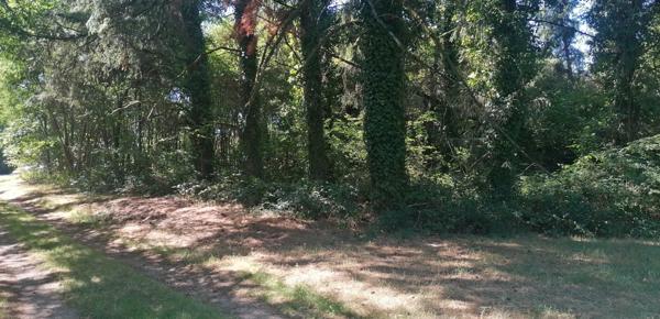 Terrain de 1810 m² à Piégut-Pluviers