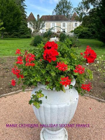 NICHE EN HAUTEUR MAGNIFIQUE CHATEAU SUR 7700 M2 AVEC SA SOURCE