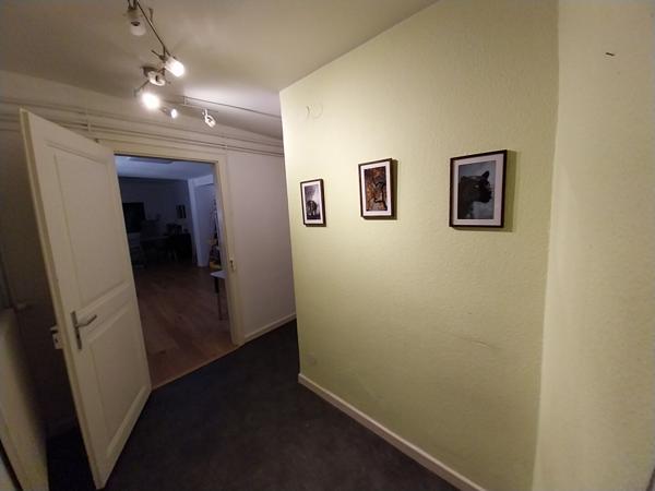 Appartement Selestat 3 pièce(s) 63 m2