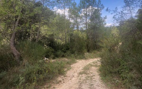 Terrain à vendre    Cuers