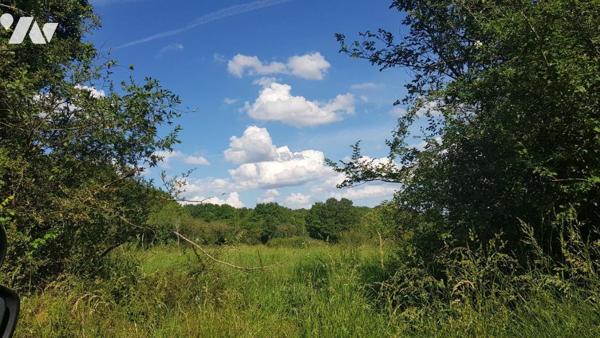A VENDRE - MENNTOU SUR CHER (41) , situé entre Romorantin et Vierzon, terrain d'une superficie ...