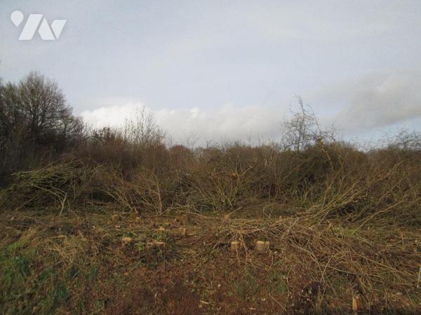 A VENDRE - MENNTOU SUR CHER (41) , situé entre Romorantin et Vierzon, terrain d'une superficie ...