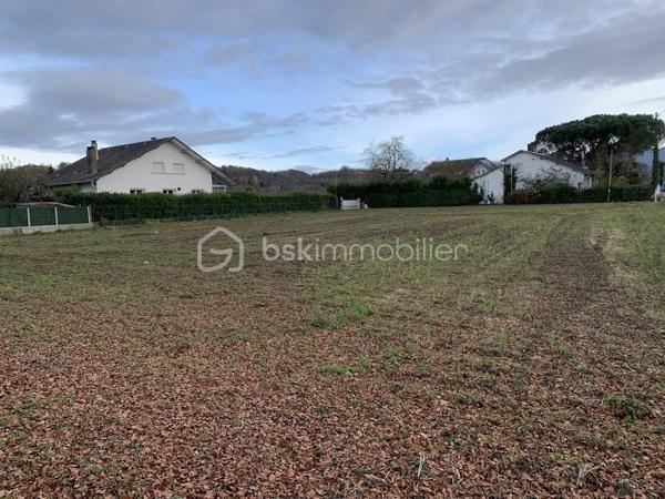 Terrain de 1 093 m²