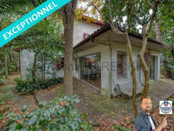 Maison de Maître 400m² excellent état sur terrain 1700m²