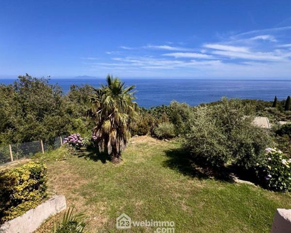 Maison 166 m² à Brando 20222